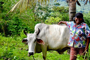 God bless the work of farmers! by Fr. Bernard Holzer, aa