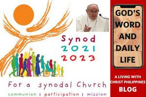 COP 26 : Synod and elections
