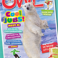 OWL - BACK ISSUE DECEMBER 2020
