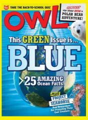 OWL Magazine - From 11 to 14 - Subscription